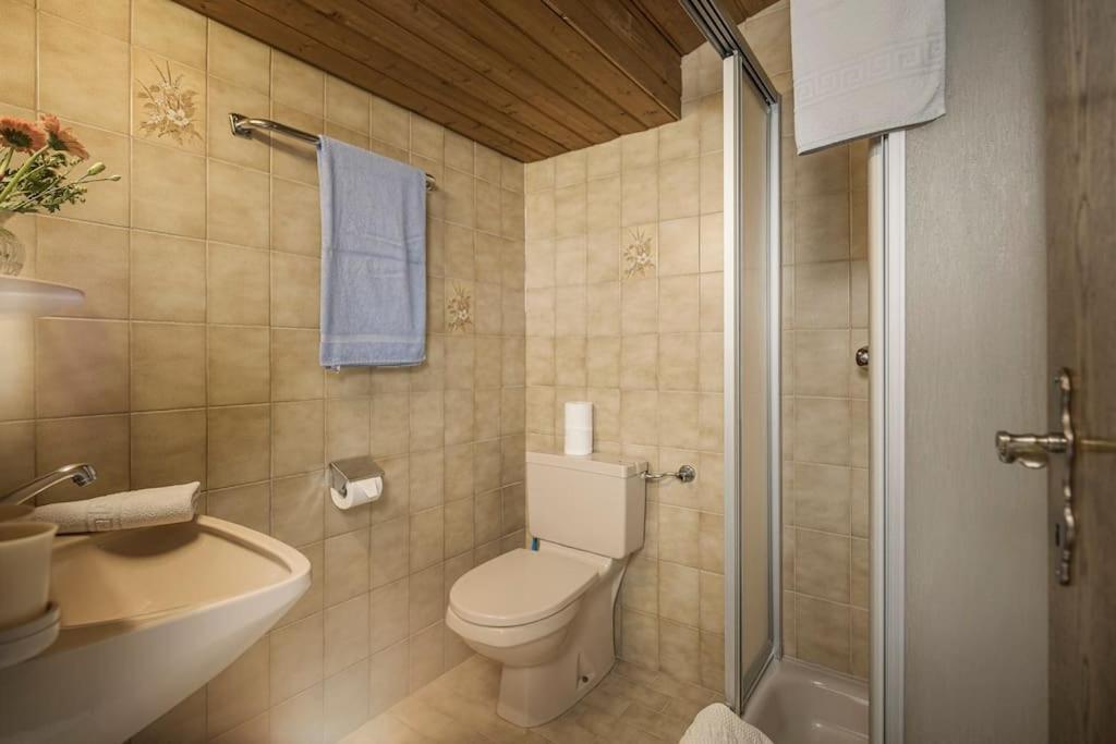 Alpenrose Apartment Рамзау им Цилертал Екстериор снимка